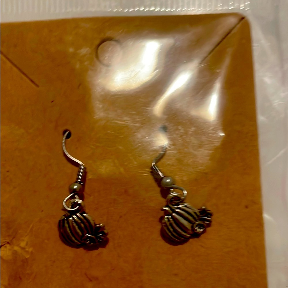 Elegant Silver Earrings